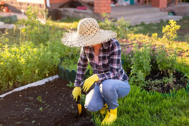 woman digging the soil